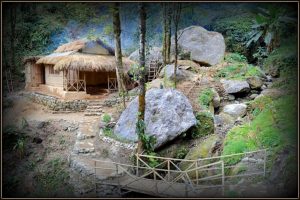 Read more about the article Earthy Dwellings – We are open for bookings!